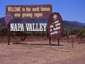 Three large brown signs with painted grapes next to a vineyard. The signs read Welcome to the world famous wine growing region - Napa Valley.